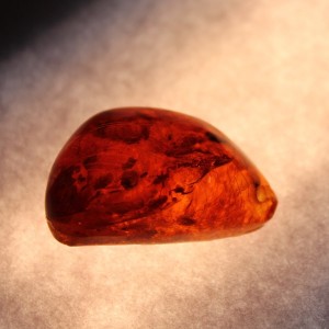 Vintage amber pendant with inclusive
